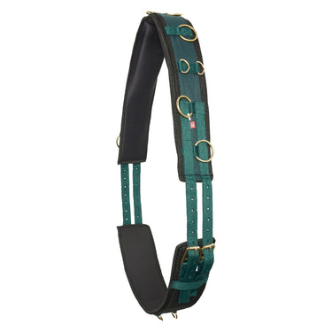 Buy Imperial Riding Deluxe Nylon Lunging Roller| Online for Equine