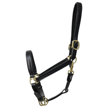 Coldstream Leather Padded Head Collar