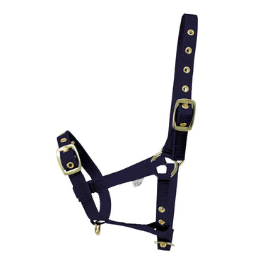 Hy Equestrian Foal Head Collar