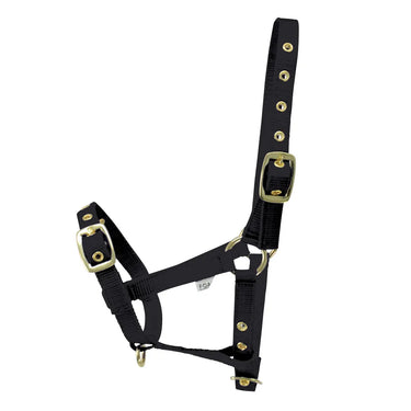 Hy Equestrian Foal Head Collar