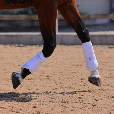 Buy the Shires ARMA White Neoprene Brushing Boots | Online for Equine