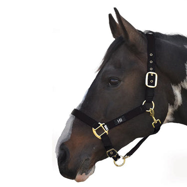 Hy Head Collar