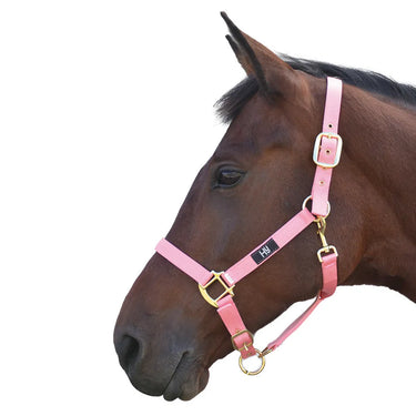 Hy Head Collar