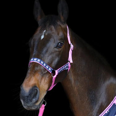 Hy Unicorn Head Collar & Lead Rope