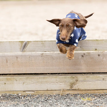 Supreme Products Noble Navy Dotty Fleece Dog Coat