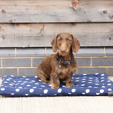 Buy Supreme Products Noble Navy Dotty Fleece Dog Bed | Online for Equine