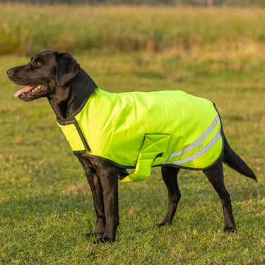 Benji & Flo Reflector Waterproof Dog Coat by Hy Equestrian