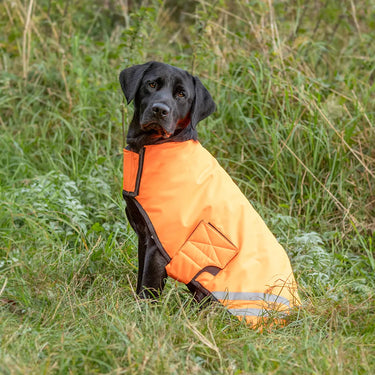 Benji & Flo Reflector Waterproof Dog Coat by Hy Equestrian