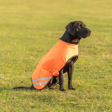Benji & Flo Reflector Waterproof Dog Coat by Hy Equestrian