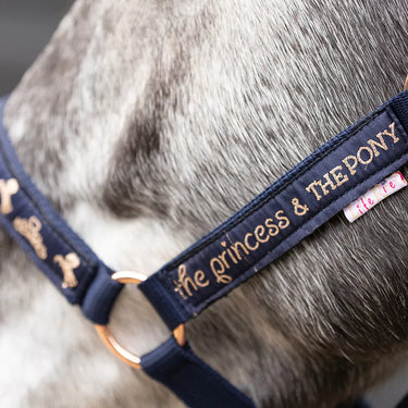 The Princess and the Pony Head Collar & Lead Rope Set by Little Rider