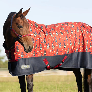 StormX Original 50 Turnout Rug