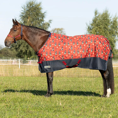 StormX Original 100 Turnout Rug