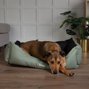 Scruffs Expedition Box Bed