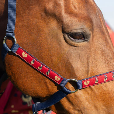 Hy Equestrian Thelwell Collection Balancing Act Head Collar & Lead Rope