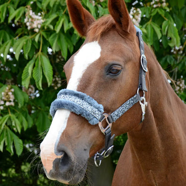 Hy Equestrian Dazzle Head Collar