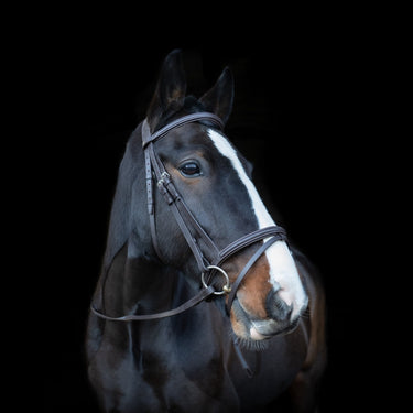 Cameo Equine Brown Anatomic Comfort Bridle