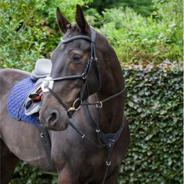 Cameo Equine Brown Performance Elasticated Breastplate