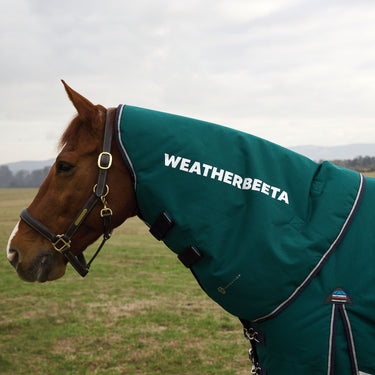 Weatherbeeta Comfitec Plus Dynamic Turnout Neck Cover 100G Forest Green/ Navy