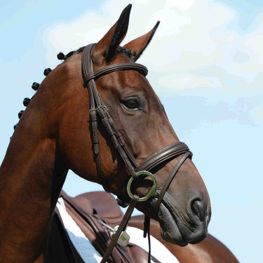 Collegiate Syntovia + Padded Raised Flash Bridle