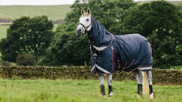 LeMieux 50g Kudos Turnout Rug Navy