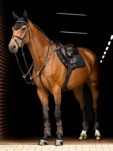 Buy Digby & Fox Bandana | Online for Equine