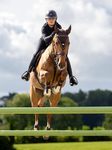 Buy Le Mieux Puissance Fly Hood Brown | Online for Equine