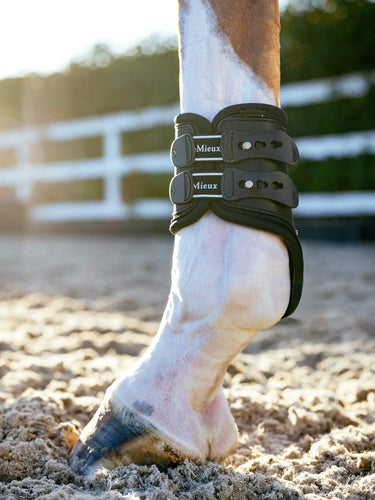 LeMieux Exo-Flex® Fetlock Spare Strap Set Black