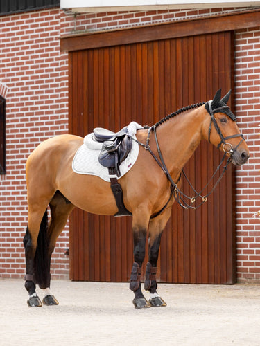Buy Digby & Fox Bandana | Online for Equine