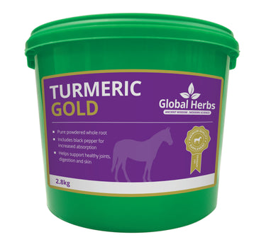 Buy Global Herbs Turmeric Gold | Online for Equine