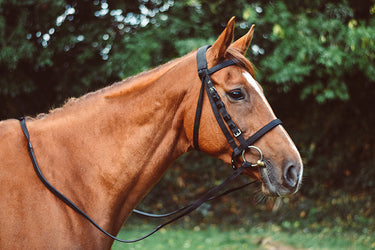 Equisential Nylon Reins