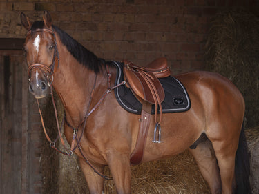 Eric Thomas Fitter Stirrup Leathers