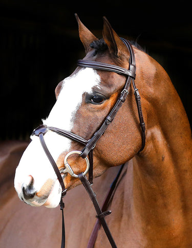 Buy Mackey Classic Padded Grackle Bridle | Online for Equine