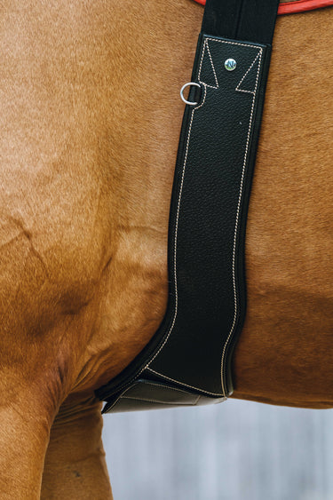 Norton - Magnet - Anatomical Girth
