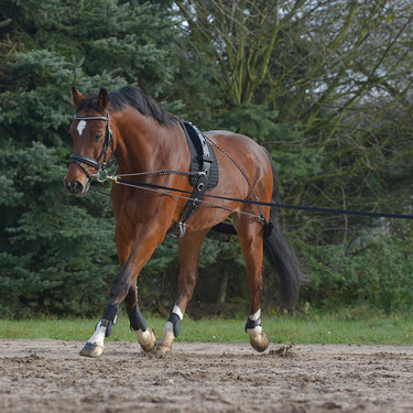 Buy Waldhausen Lunging System | Online for Equine