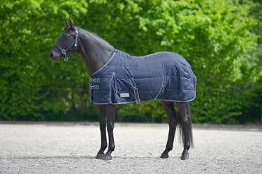 Waldhausen Economic 200g Stable Rug