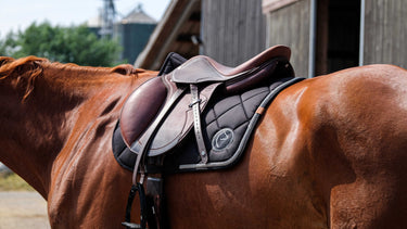 Equitheme- Badge 2.0  Saddle Pad
