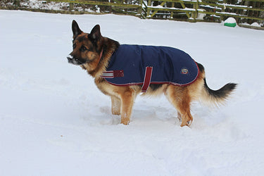 Mackey Buster Dog Coat