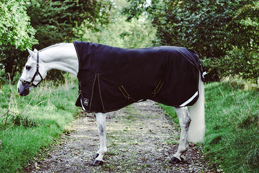 Buy Mackey Lugnaquilla High Neck 360g Turnout Rug | Online for Equine