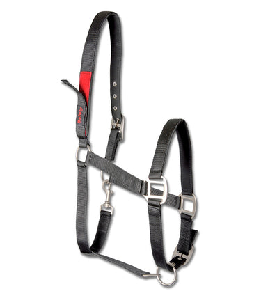 Waldhausen Safety Halter