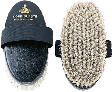 Buy HAAS Kopfburste | Online for Equine