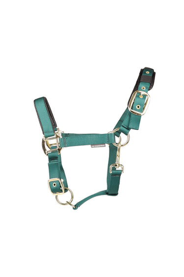 Hy Equestrian Deluxe Padded Head Collar Bottle Green