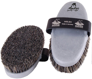 Buy HAAS Welsh | Online for Equine
