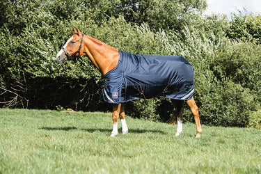 Mackey Wicklow Lightweight Turnout Rug