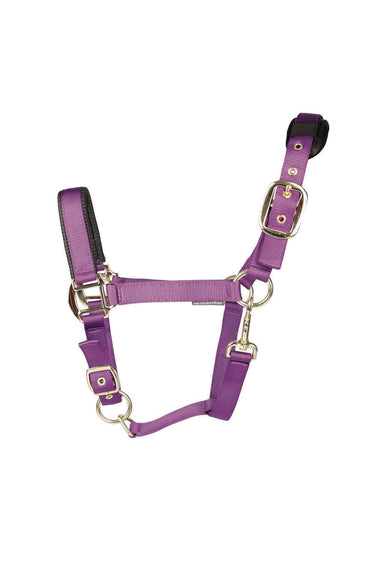Hy Equestrian Deluxe Padded Head Collar Purple