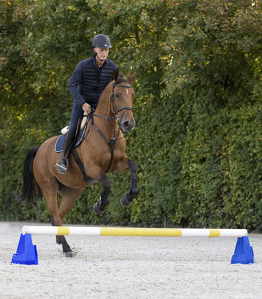 Buy Waldhausen Cavaletti Block | Online for Equine