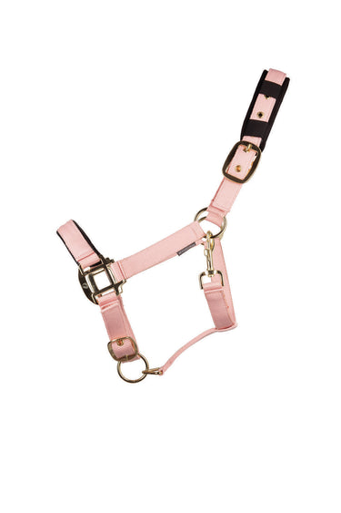Hy Equestrian Deluxe Padded Head Collar Pink