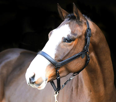 Buy Liveryman Clipping Headcollar | Online for Equine