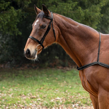 Hy Equestrian Elastic Breastgirth