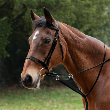 Hy Equestrian Bib Martingale