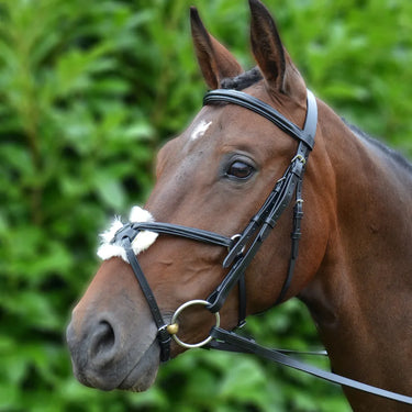 Hy Equestrian Mexican Grackle Bridle with Rubber Grip Reins